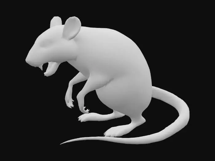 3D model for Rat Fury