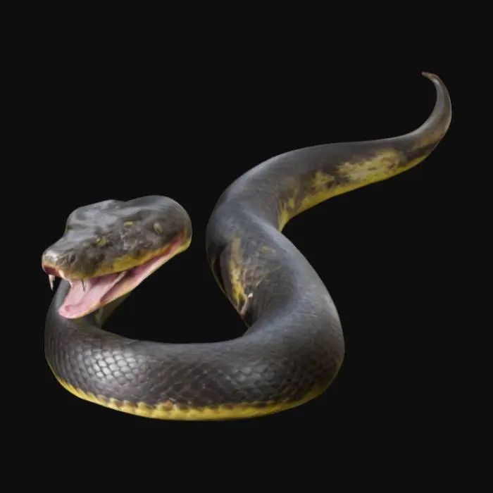 3D model for Serpent Spiral