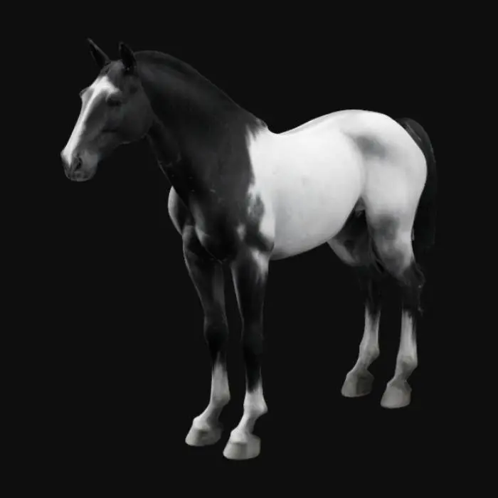 3D model for gypsy horse stand on 4 legs. without hair