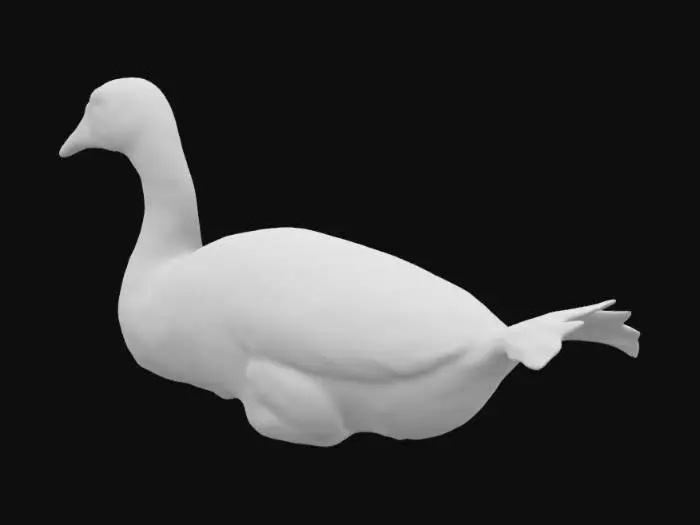 3D model for Ultra realistic perfect HD textures snow geese swimming, goose, white high-rez