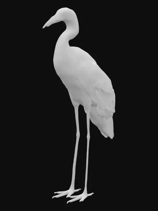 3D model for hyper realistic great egret, ultra realistic and detailed texturing 4k textures game ready standing