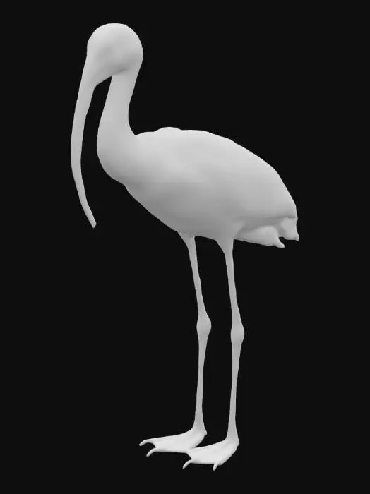 3D model for create a highly detailed model of a white ibis, standing, ultra realistic 4k HD textures 
