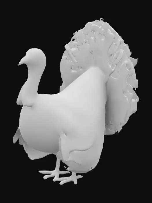 3D model for ultra realistic male wild turkey, displaying his feathers 