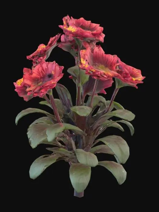 3D model for a chrysanthemum bush, burnt orange flowers  lush, full, ready to plant 