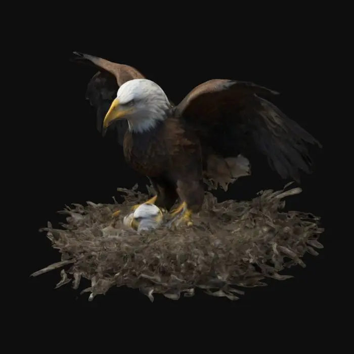 3D model for Eagle in Nest ultra realistic  