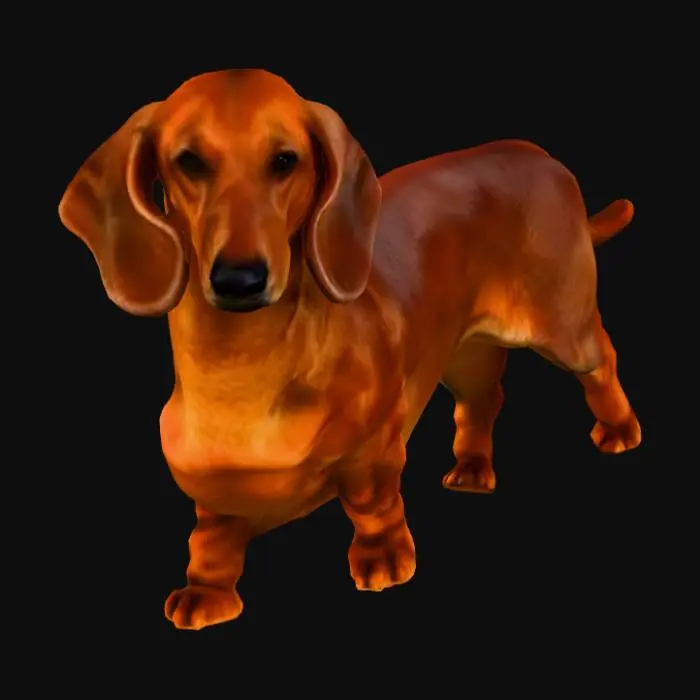 3D model for Hedel the Minidox