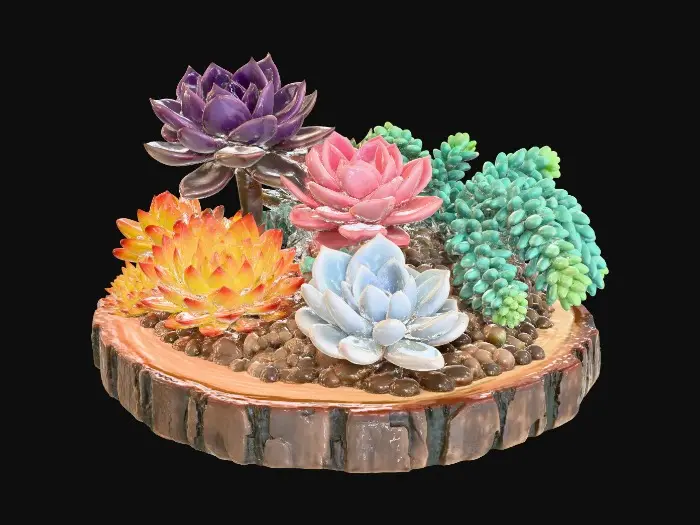 3D model for Succulent Harmony