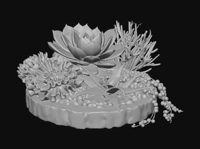3D model for Succulent Harmony