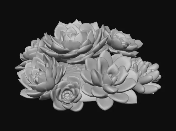 3D model for Succulent Harmony