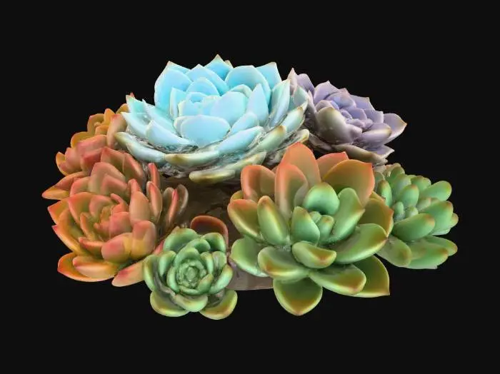 3D model for Succulent Harmony