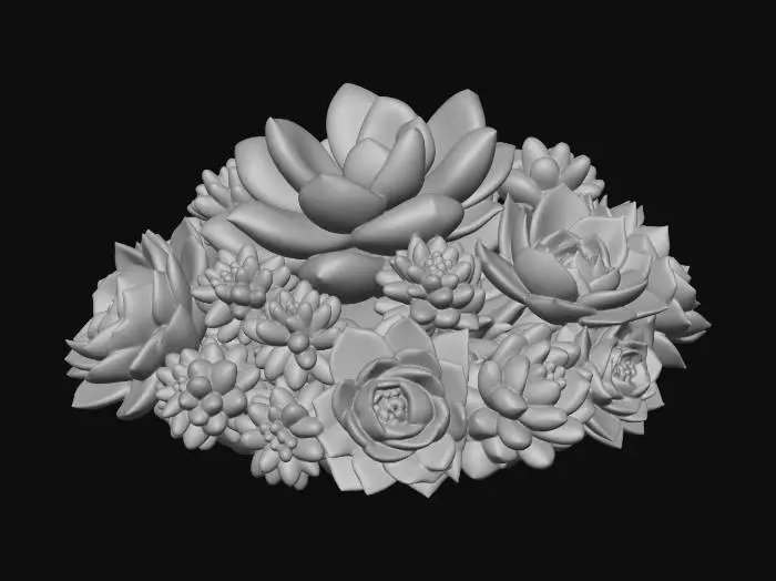 3D model for Succulent Harmony
