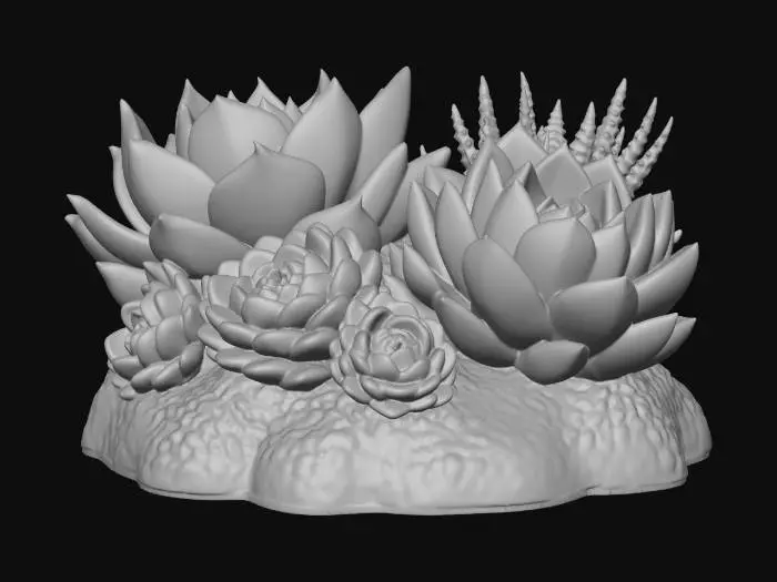 3D model for Succulent Harmony