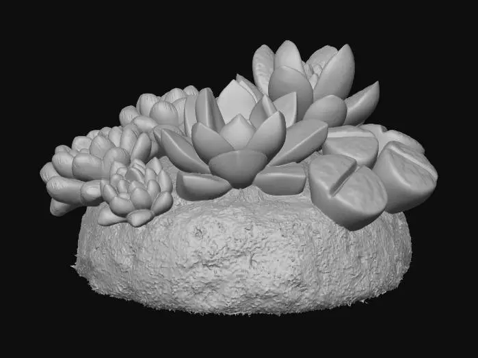 3D model for Succulent Oasis