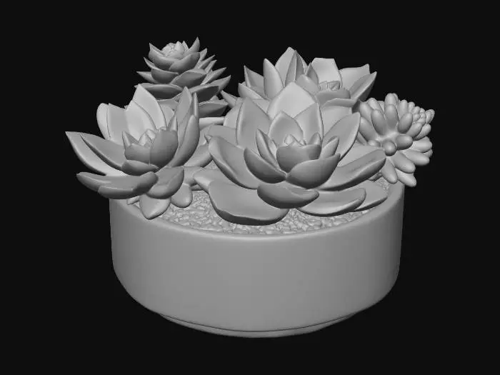 3D model for Radiant Succulent Harmony