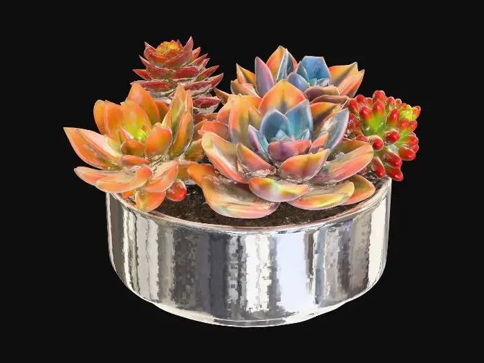3D model for Radiant Succulent Harmony