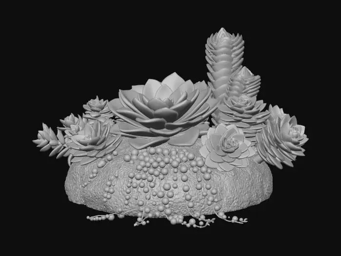 3D model for Succulent Harmony