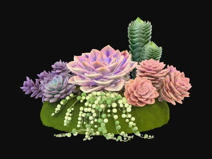 3D model for Succulent Harmony