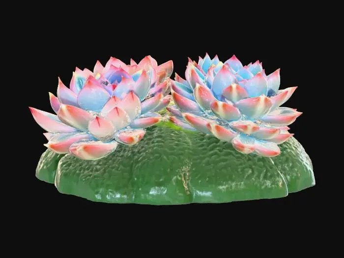 3D model for Succulent Harmony