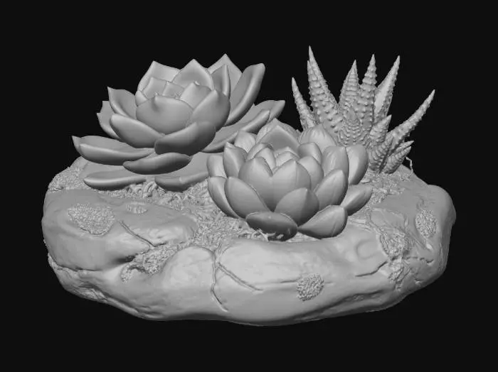 3D model for Succulent Trio in Stone Planter