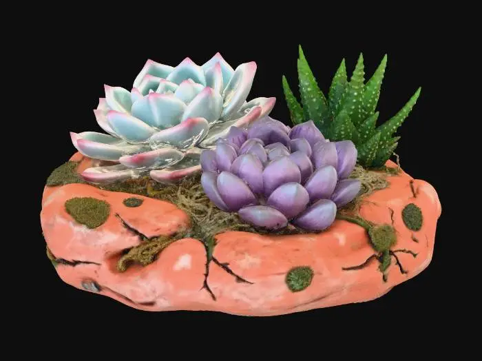 3D model for Succulent Trio in Stone Planter