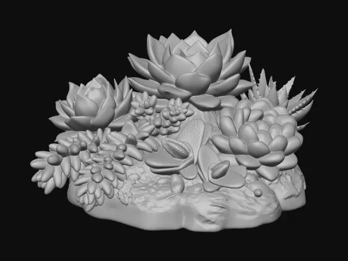 3D model for Succulent Harmony