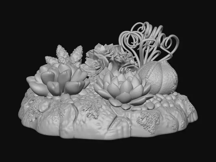 3D model for Succulent Garden Harmony