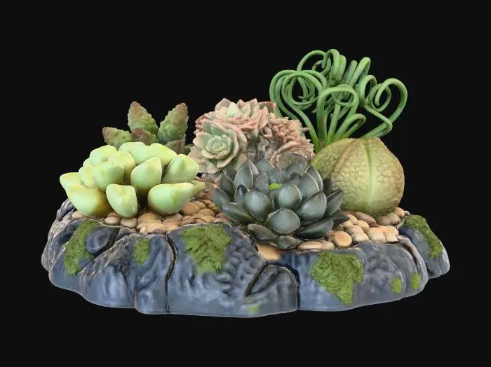 3D model for Succulent Garden Harmony