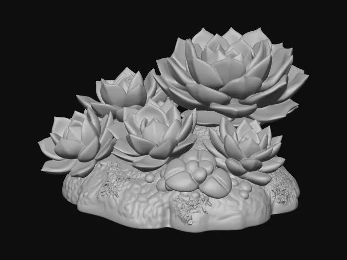 3D model for Succulent Harmony