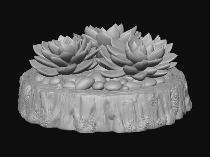 3D model for Succulent Harmony