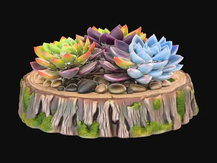 3D model for Succulent Harmony