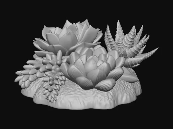 3D model for Succulent Harmony