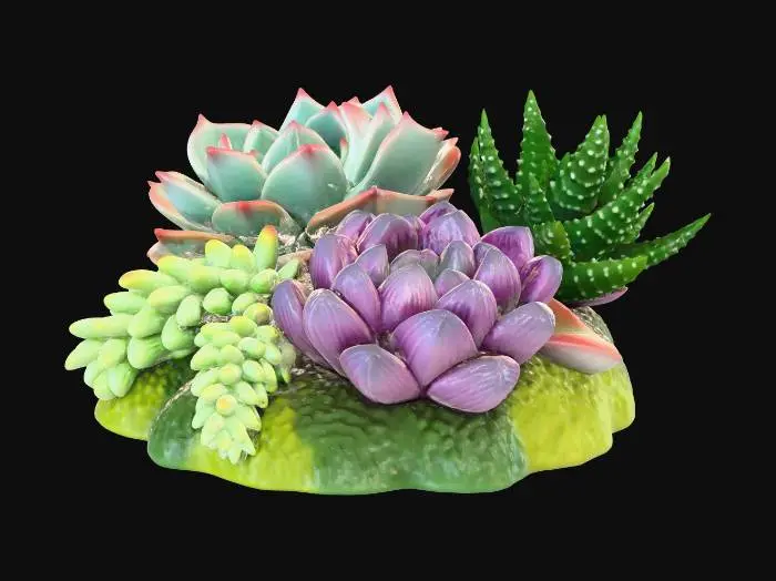 3D model for Succulent Harmony