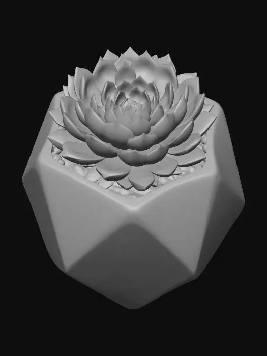 3D model for Succulent Serenity