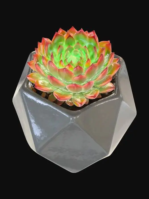 3D model for Succulent Serenity