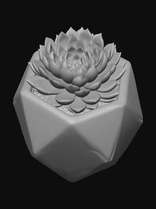 3D model for Succulent Geometry