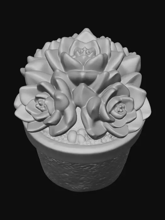3D model for Succulent Serenity