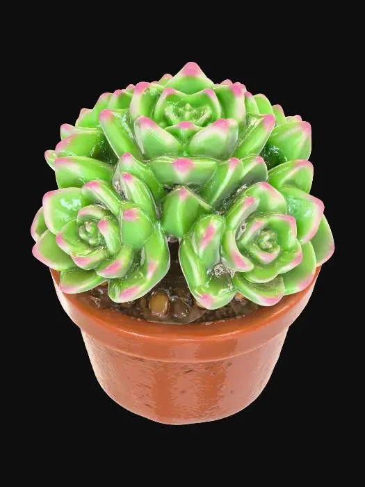 3D model for Succulent Serenity