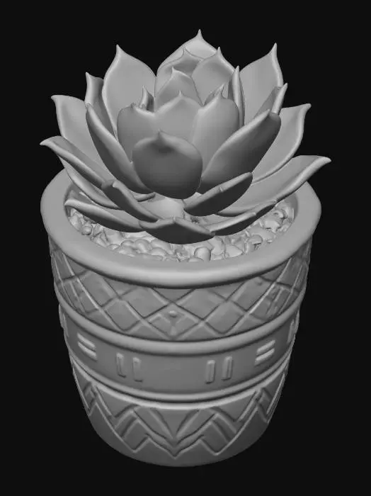 3D model for Succulent Serenity