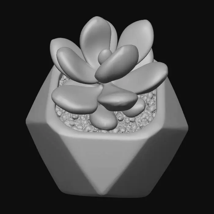 3D model for Succulent Serenity