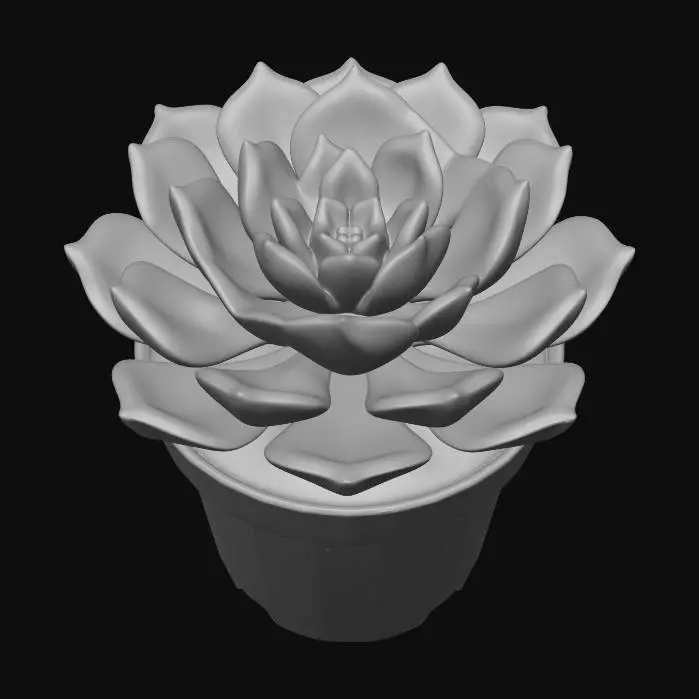 3D model for Succulent Serenity
