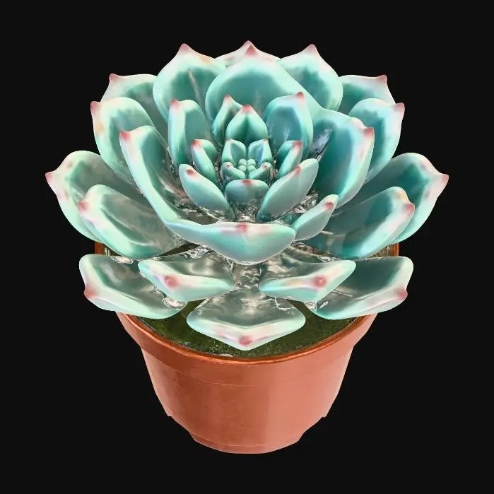 3D model for Succulent Serenity