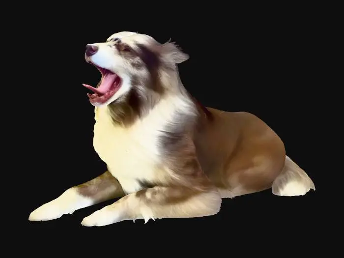 3D model for Yawning Dog in a Store