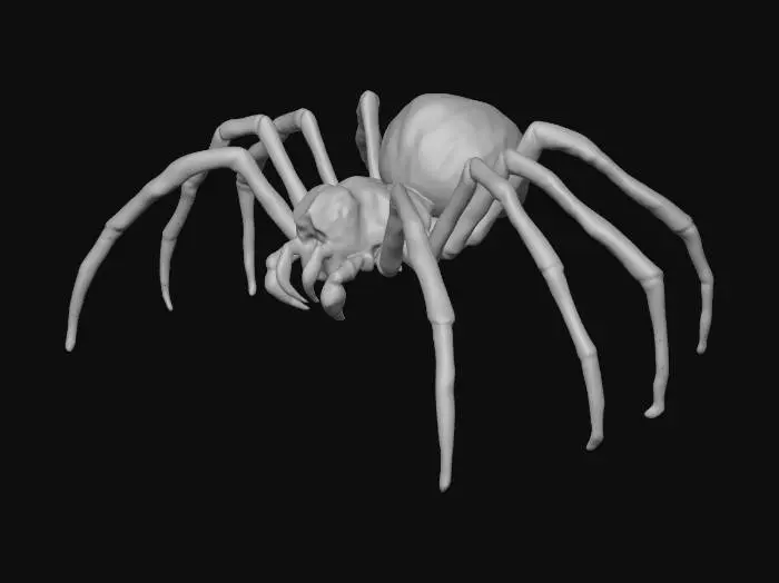 3D model for J'aimerais une araignée géant de dungeon et dragon.