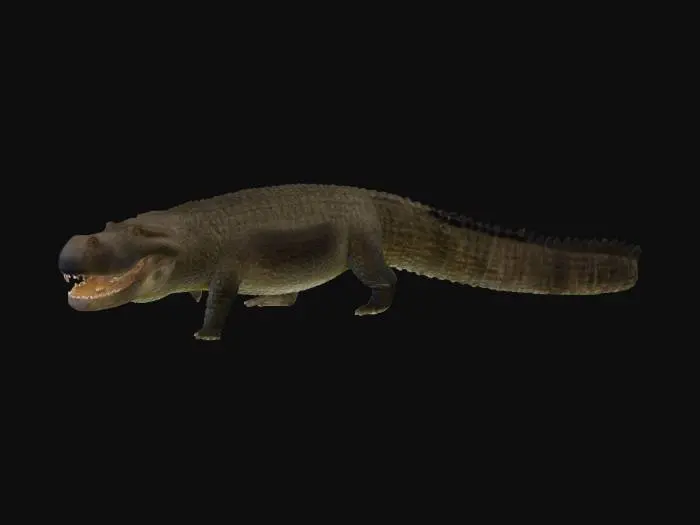 3D model for Purusaurs