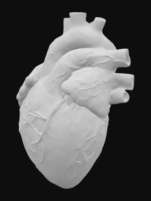 3D model for Heart of Wealth