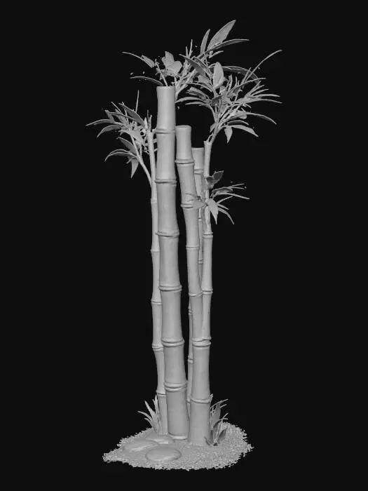 3D model for Bamboo Serenity