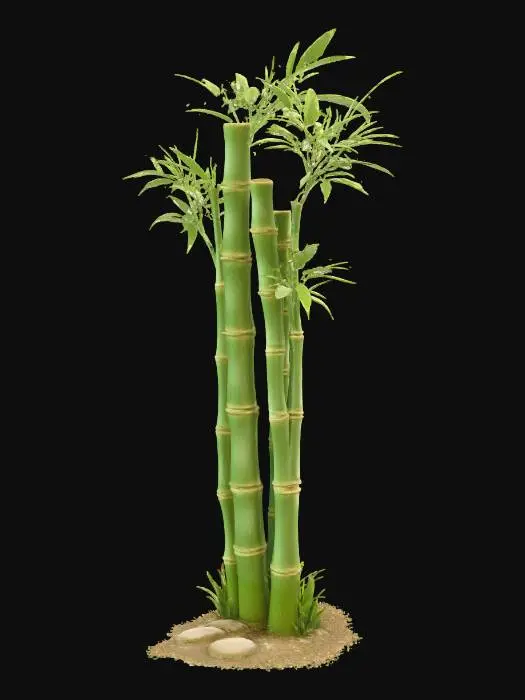 3D model for Bamboo Serenity