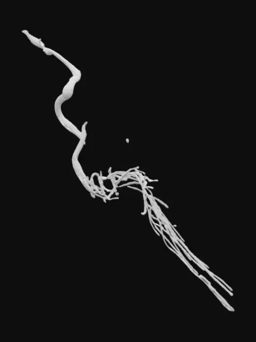 3D model for Inferno Stream