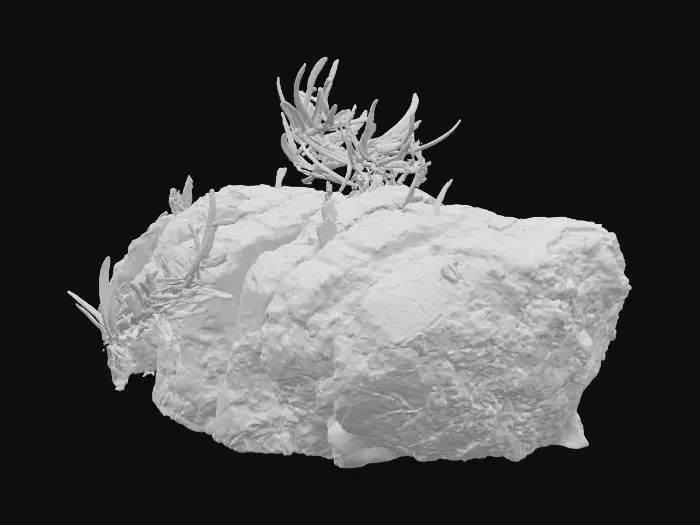 3D model for Sizzling Steakplate