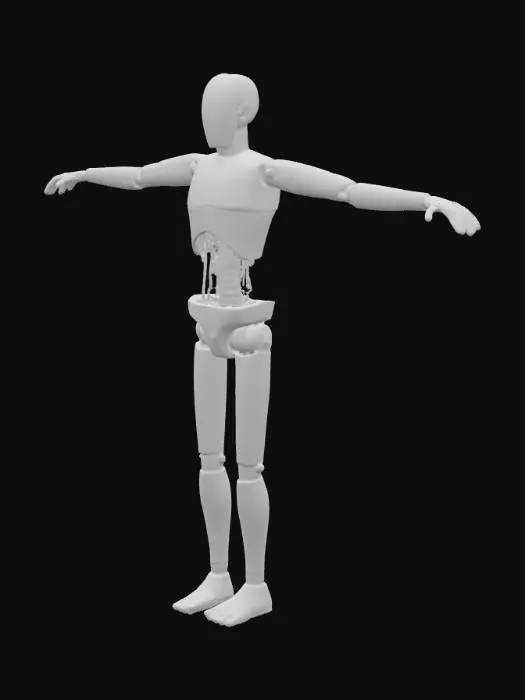 3D model for Wooden Articulation